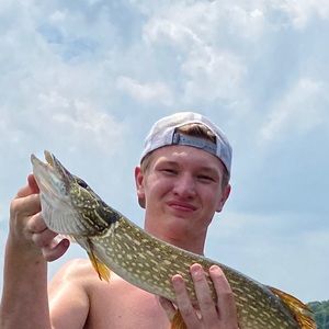 Meet your Posher, Howard joseph